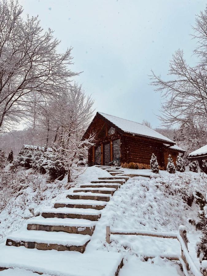 Cabana din Groapa Frumoasa 4 Risnov Bagian luar foto